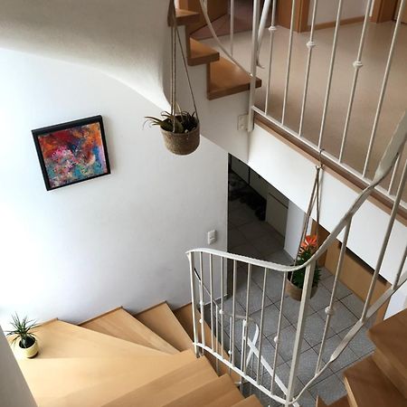 House With Castle View & Art Apartment กุนซ์บวร์ก ภายนอก รูปภาพ